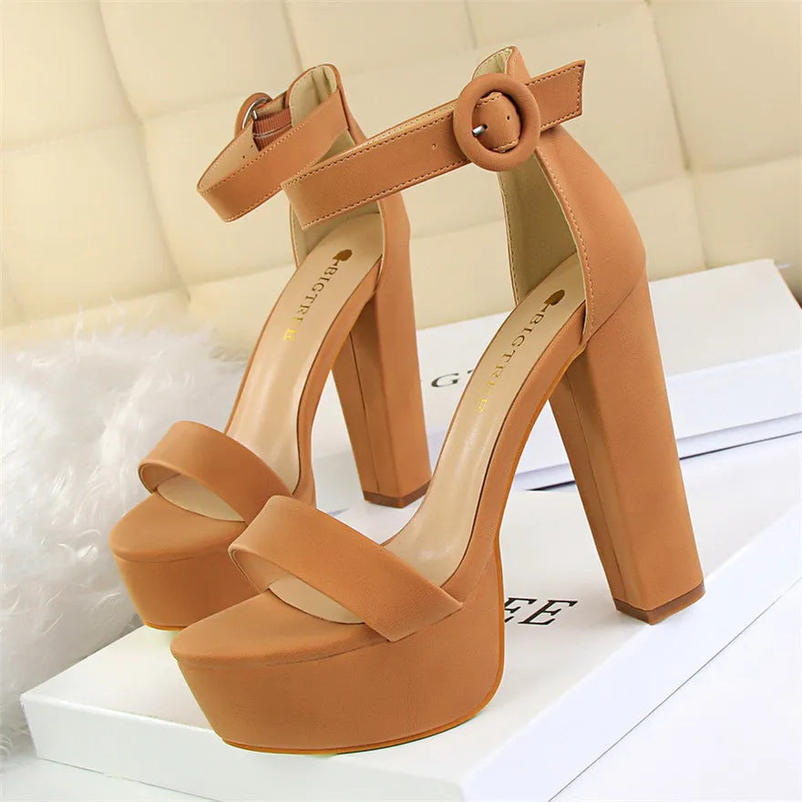 Ankle strap chunky platform heel