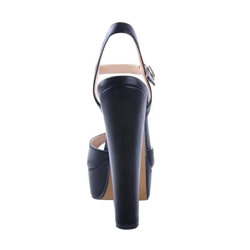 Black high-heeled sandal on a white background