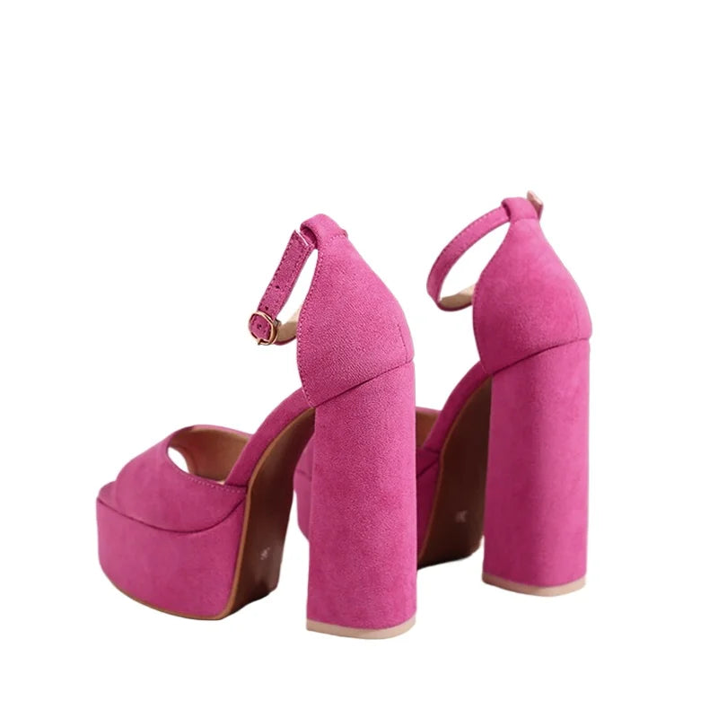 Open toe block heel ankle strap sandal